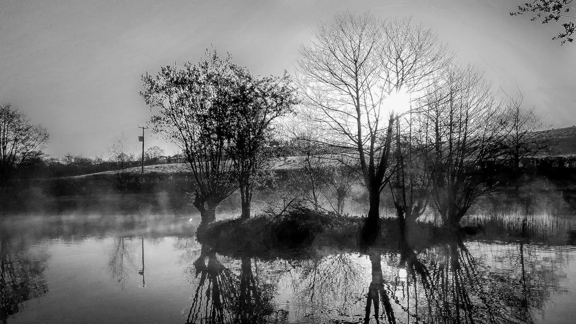 Black and white landscape photography featuring misty lake with trees and reflections