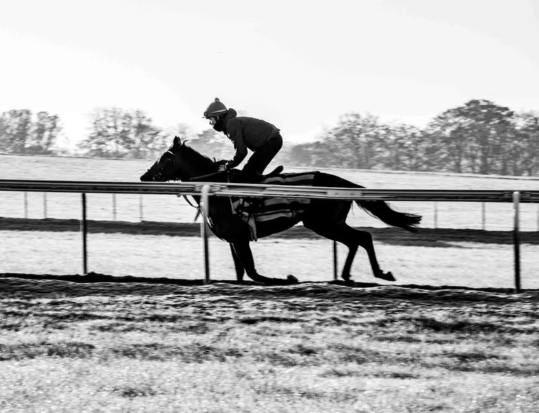 Black and white artistic composition of horses and riders at training ground