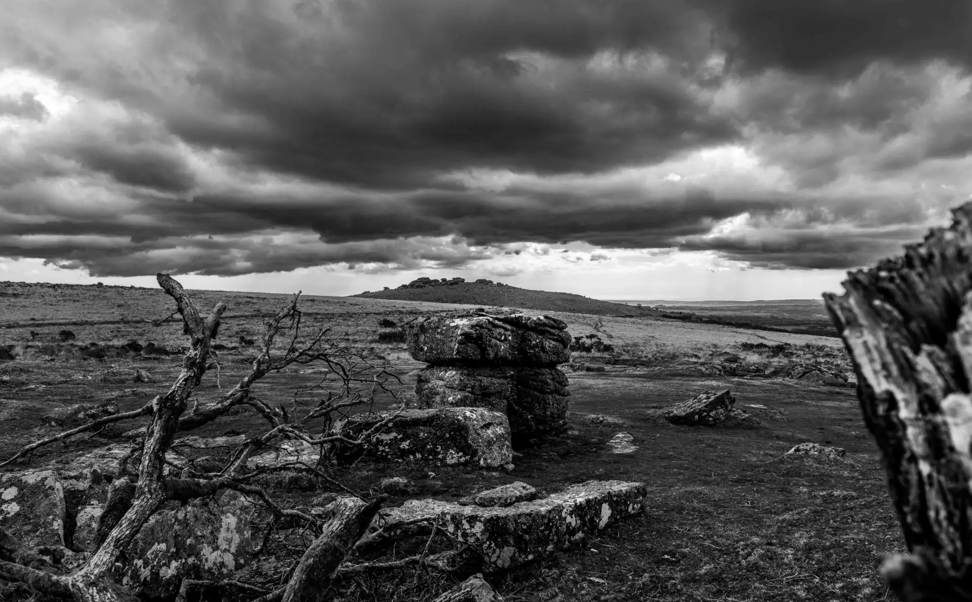 Fine art black and white photography
