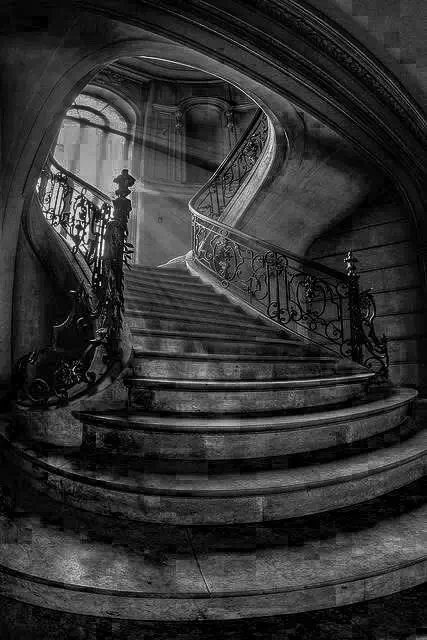 Professional black and white photography session