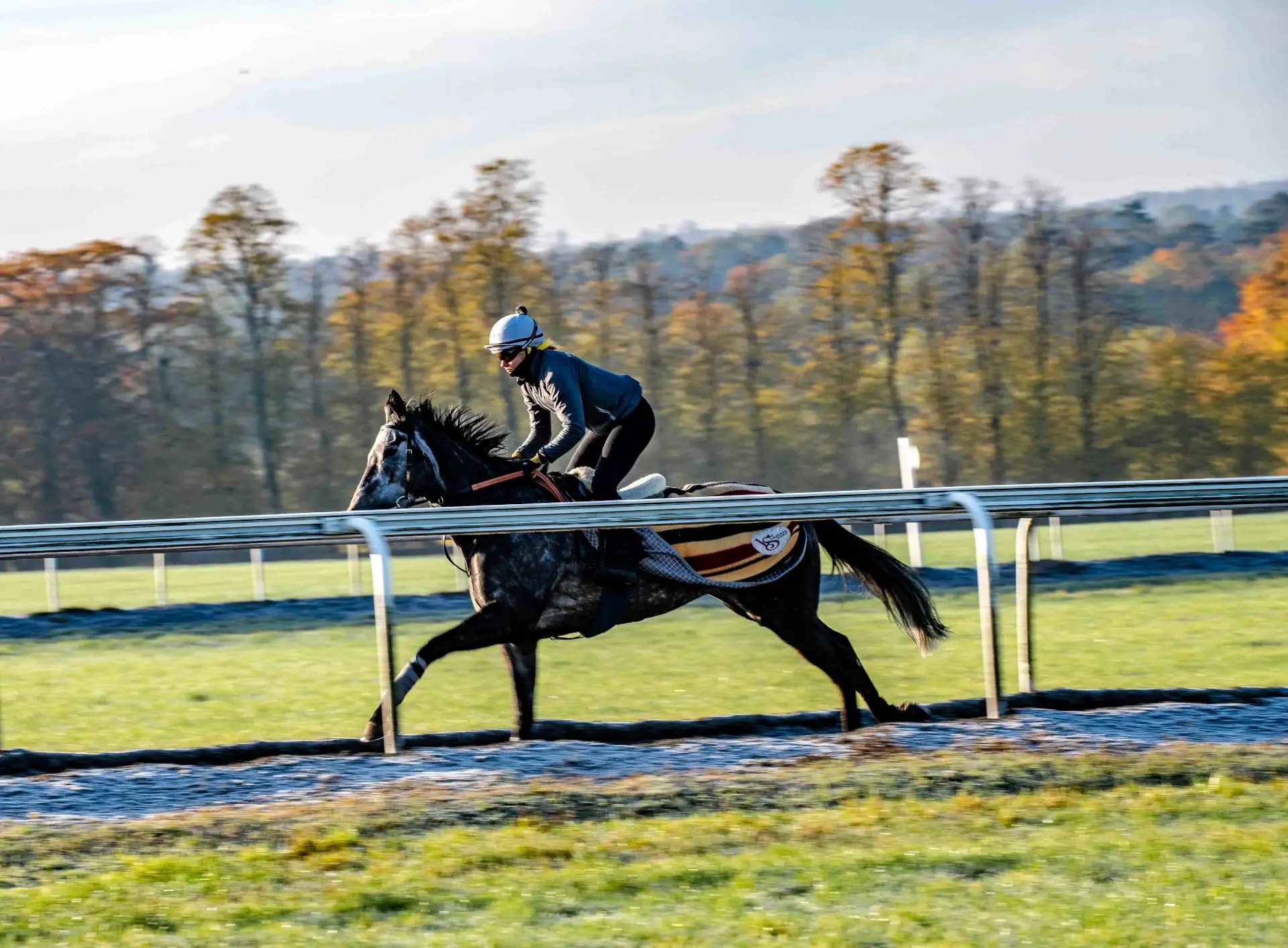 Horse racing action photography