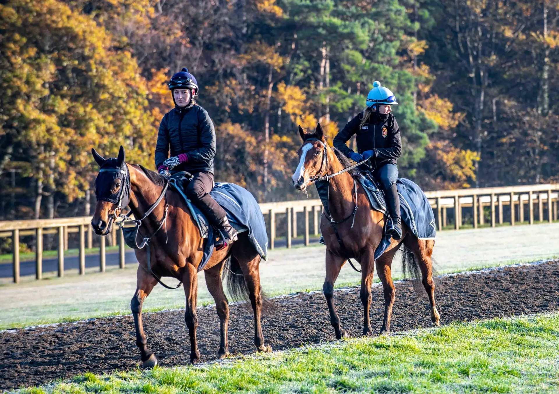 Horse racing celebration photography