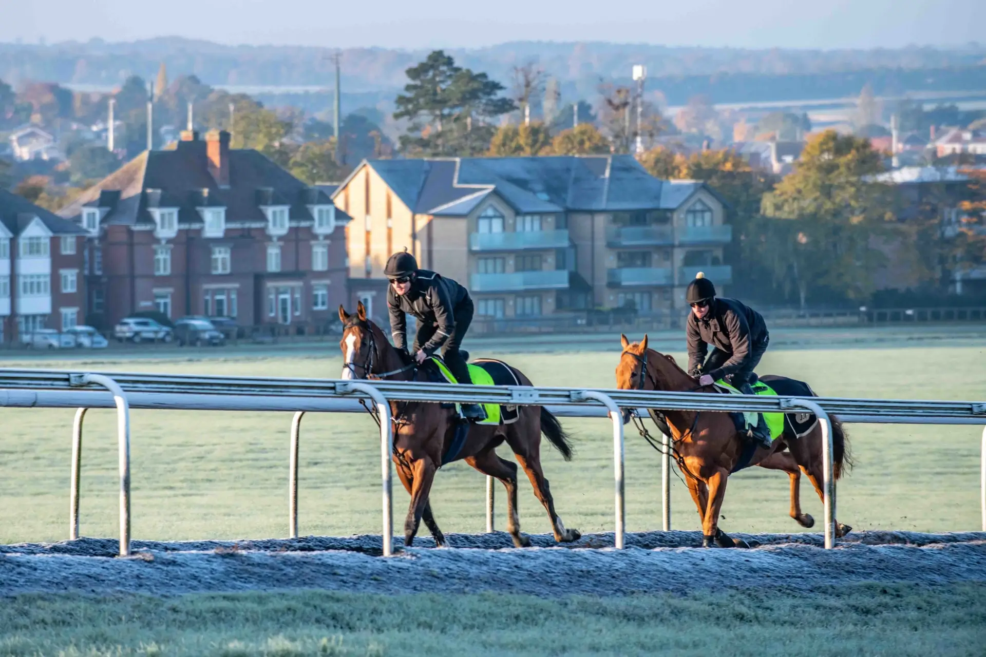 Racing stable group photography