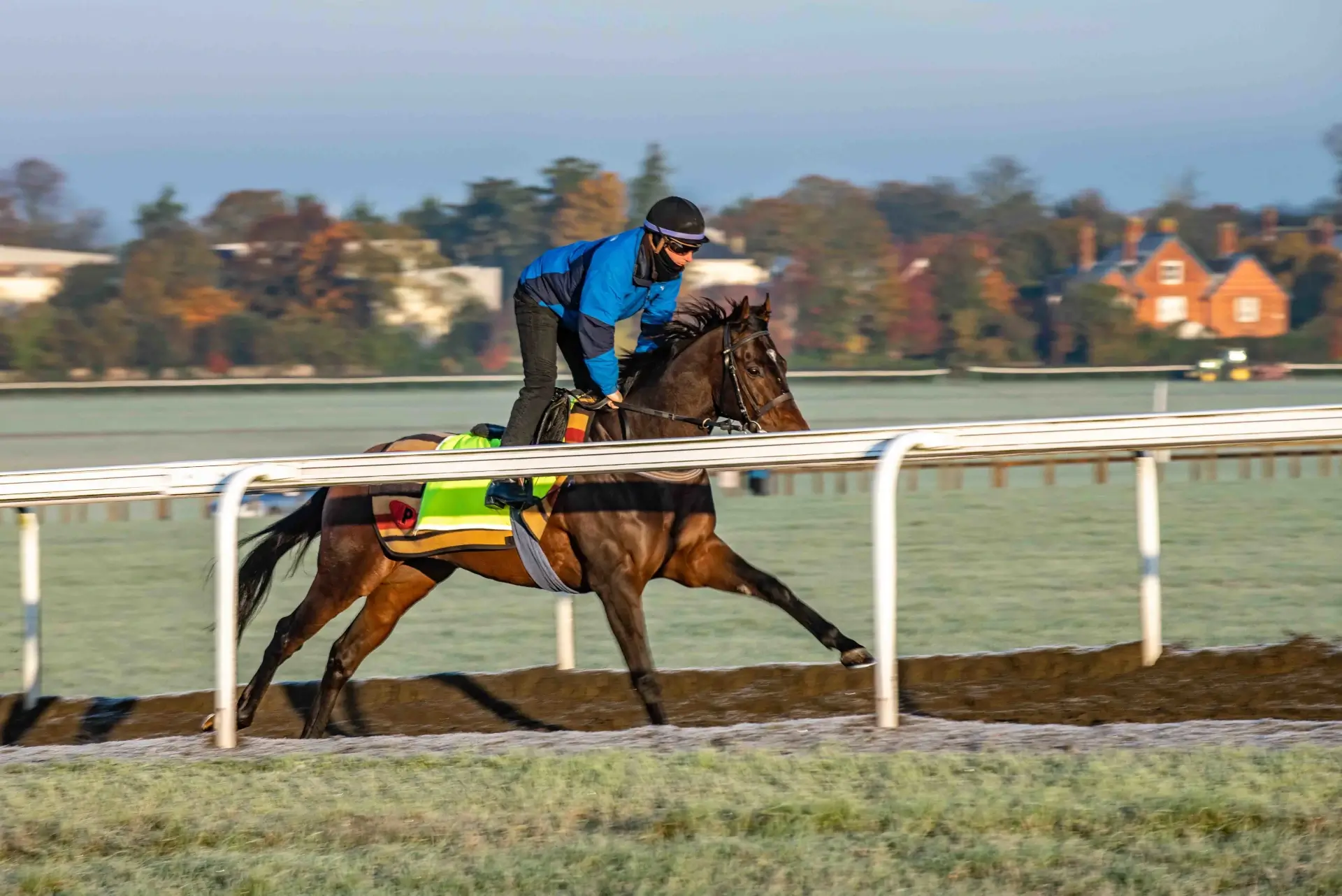 Dynamic horse and jockey racing action with autumn backdrop