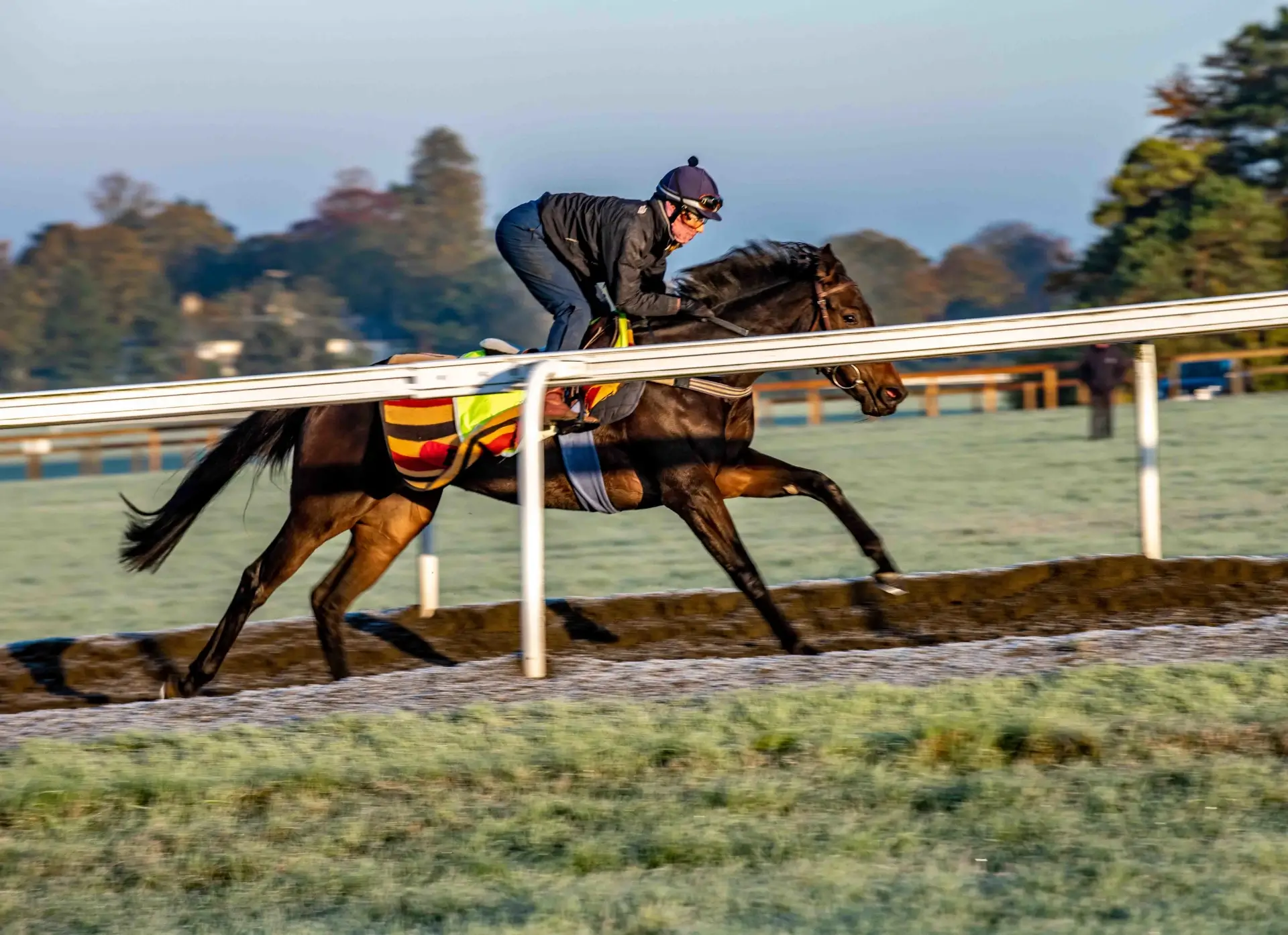 Racecourse paddock photography