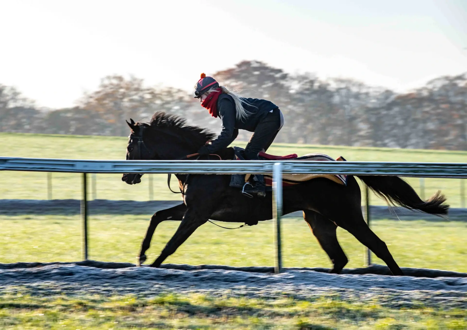 Professional jockey navigating racecourse hurdles in competitive setting