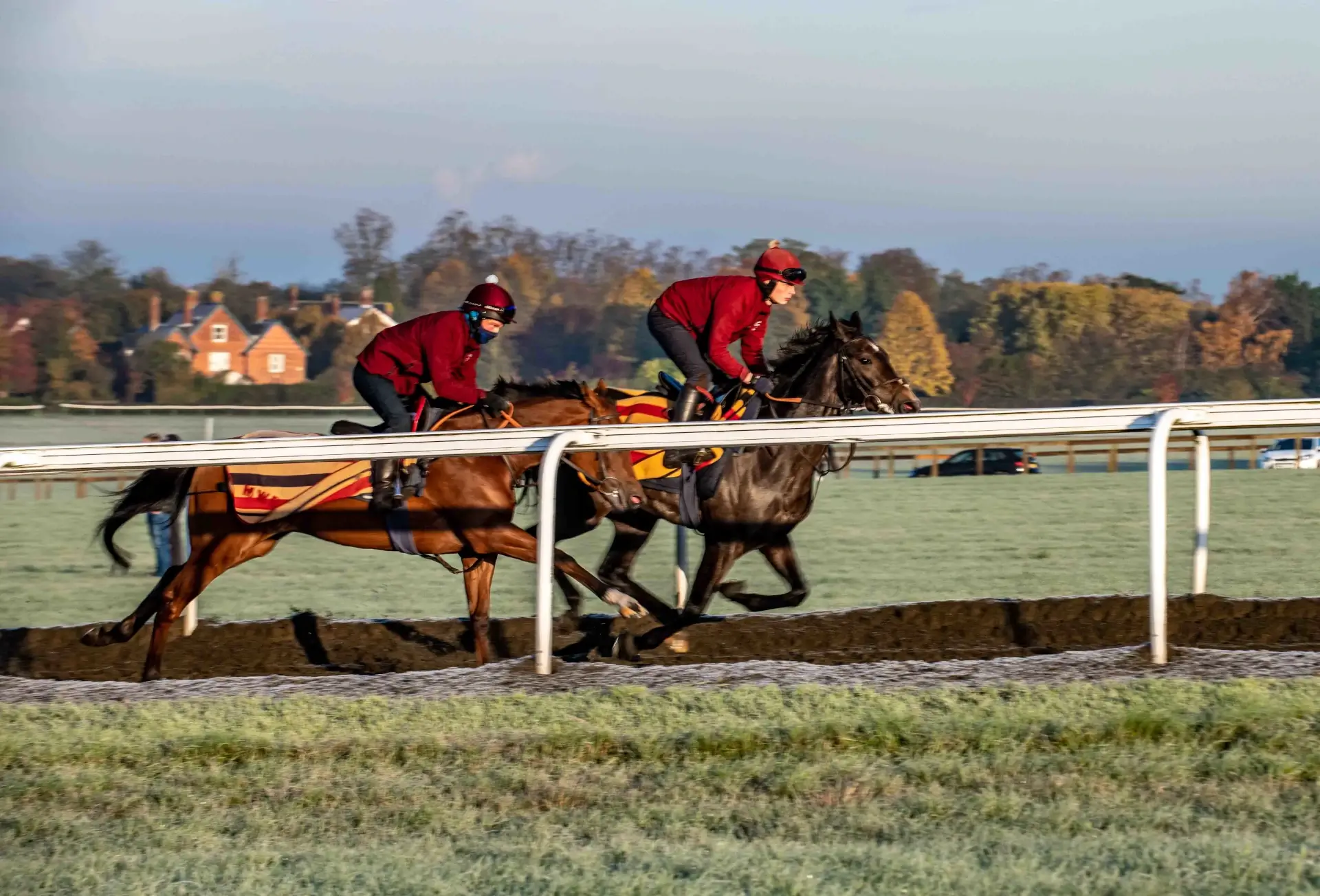 Horse and rider training session capturing focused preparation