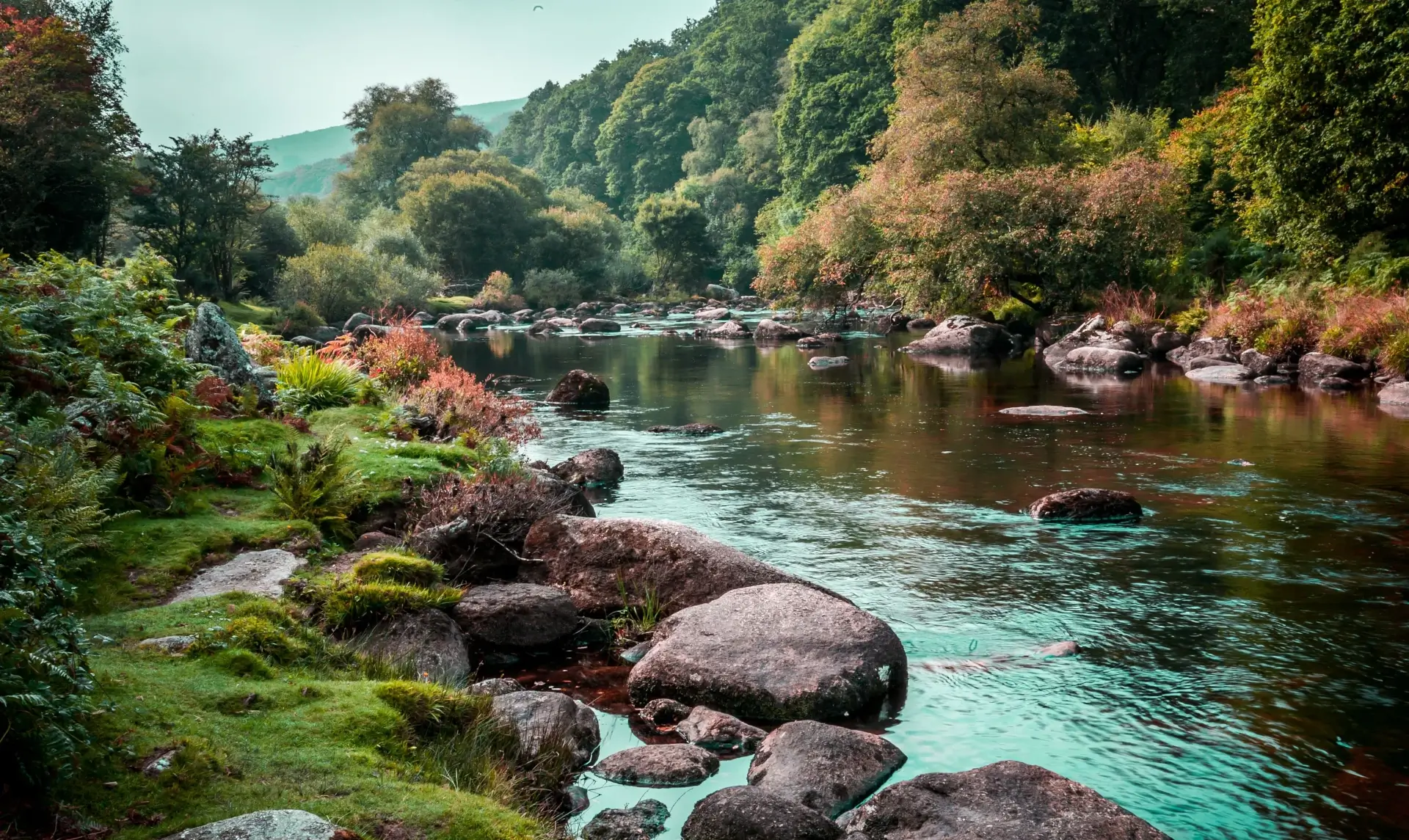 Tranquil river with moss-covered rocks and autumn foliage