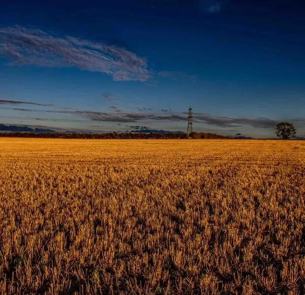 Professional landscape photography session